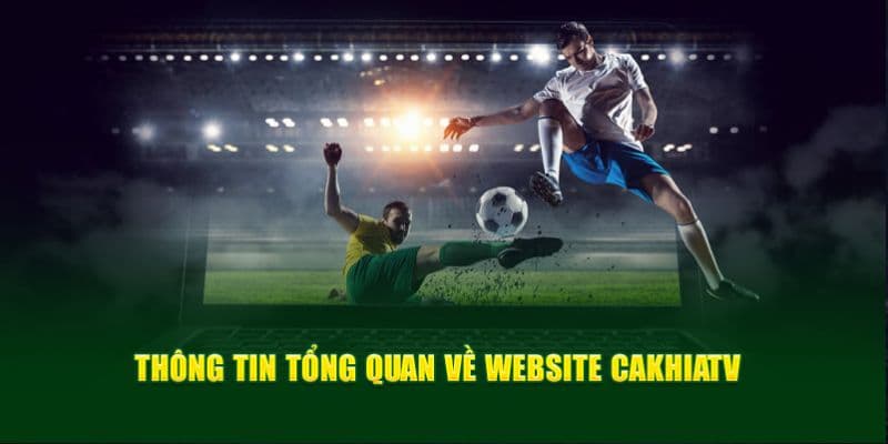 ve-chung-toi-cac-dich-vu-don-vi-cung-cap
